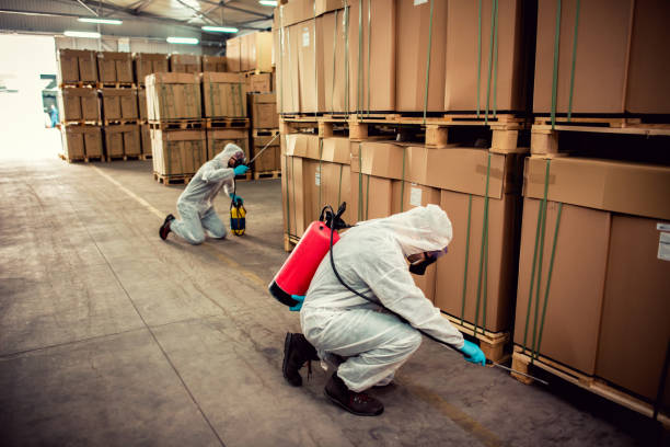 Best Residential Pest Control  in Corning, CA