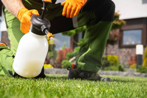 Best Residential Pest Control  in Corning, CA