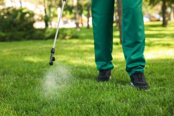 Best Pest Inspection Near Me  in Corning, CA