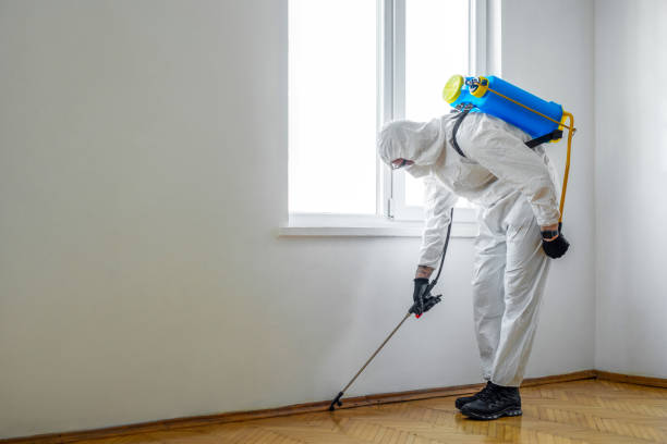 Flea Control Services in Corning, CA