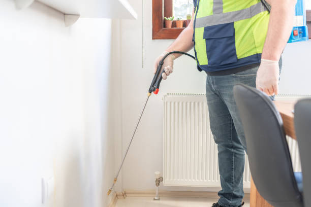 Best Pest Control Near Me in Corning, CA