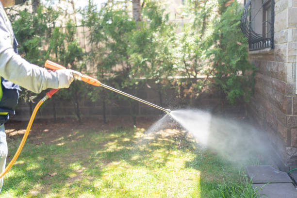 Best Pest Removal Services  in Corning, CA