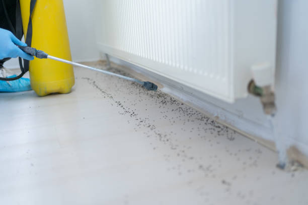 Pest Control for Restaurants in Corning, CA
