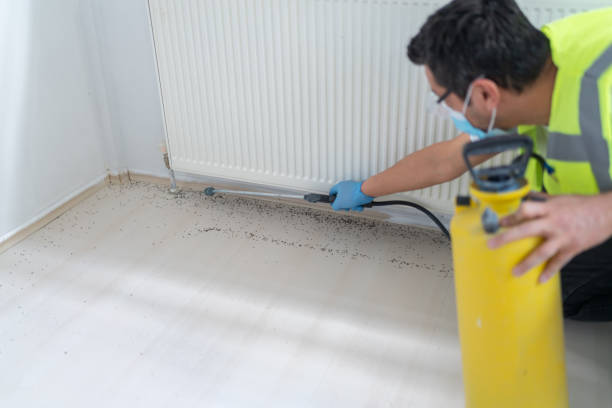 Best Exterminator Services  in Corning, CA